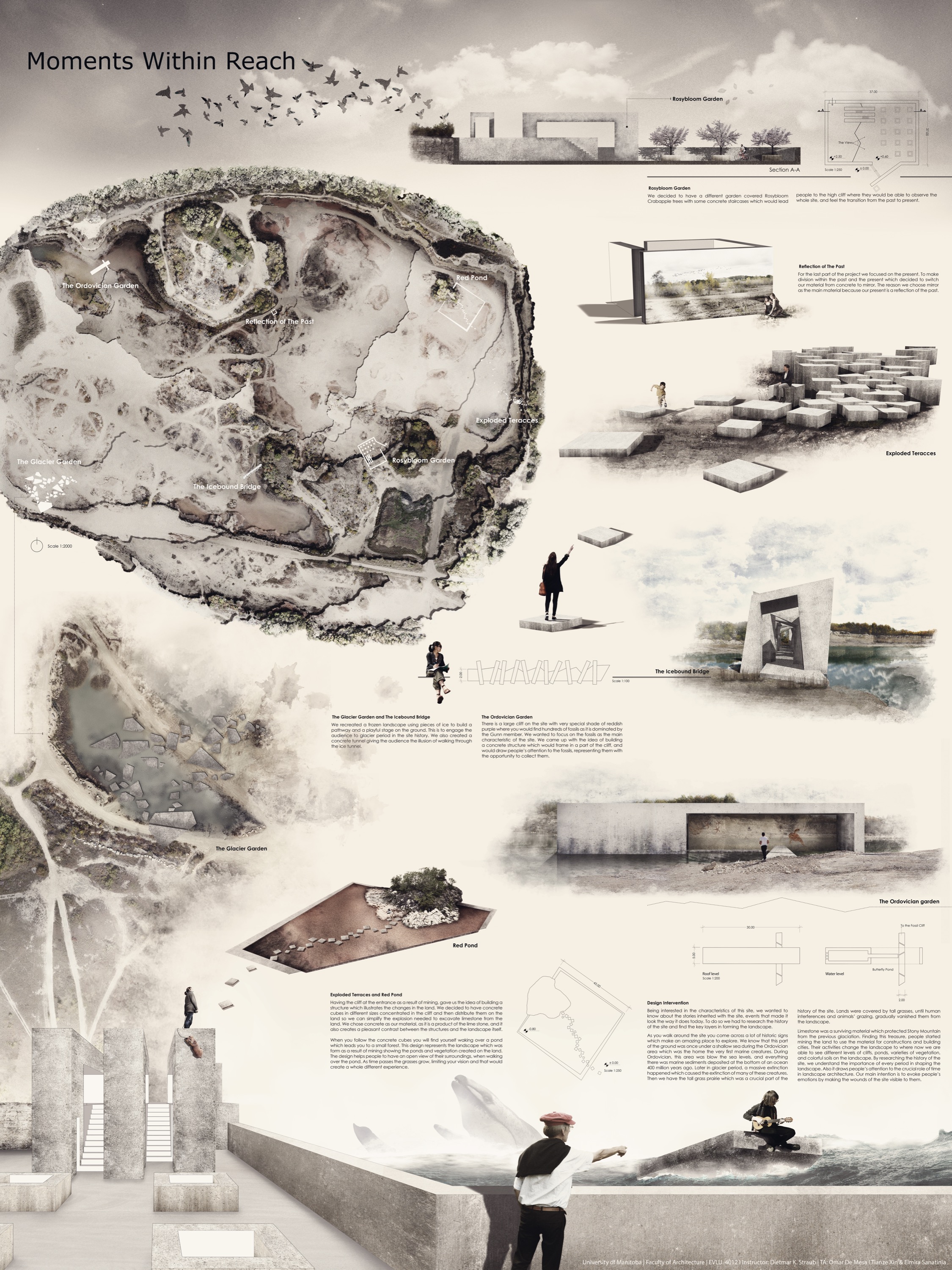 Moments Within Reach